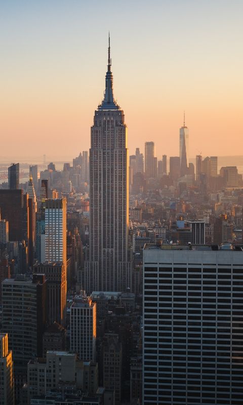 the new york skyline